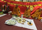 IMG 7552