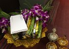 IMG 7558
