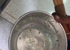 IMG 7574