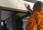 IMG 7581