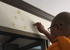 IMG 7585
