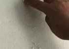 IMG 7588