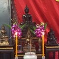 IMG_9773